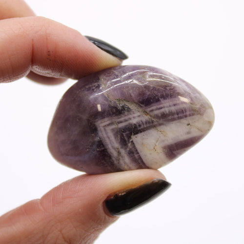 Curated Amethyst Tumble Stone Set · 12 Pieces